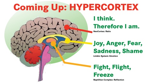 Hypercortex.jpg